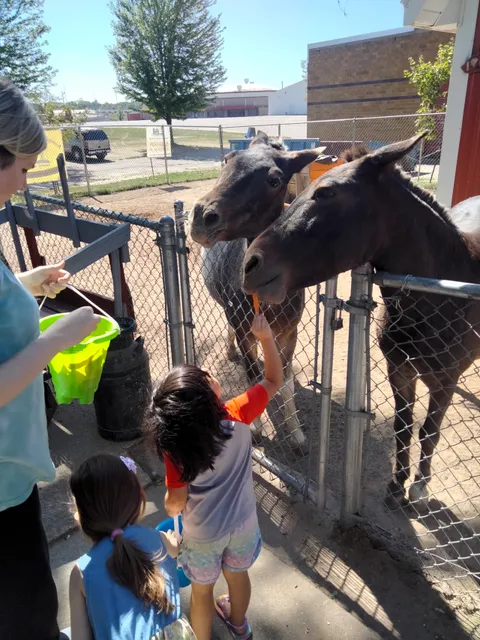 Sunrise Children's Zoo
