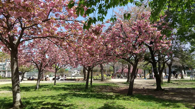 Hirano Park