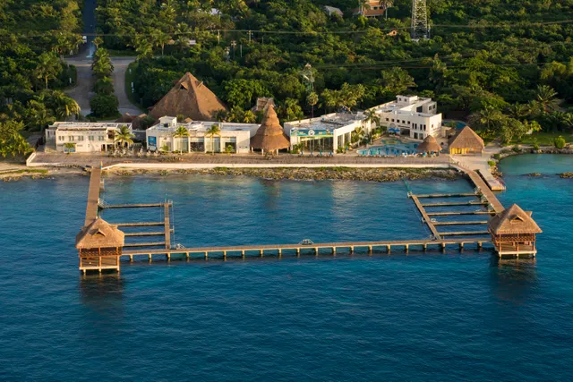 Dolphin Discovery Cozumel