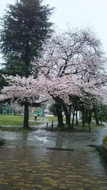photo-3
