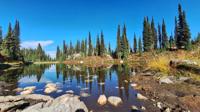 Mount Revelstoke National Park