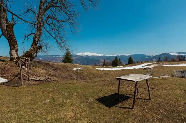 Parco Millepini - Parco Brigata Regina