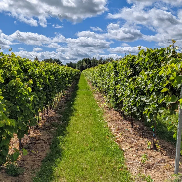 Richibucto River Wine Estate
