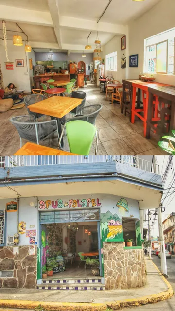 Apus falafel