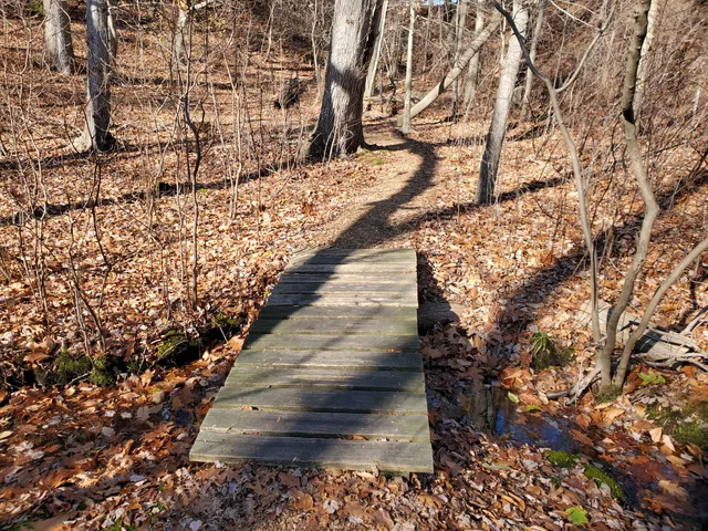 Shu Swamp Nature Preserve