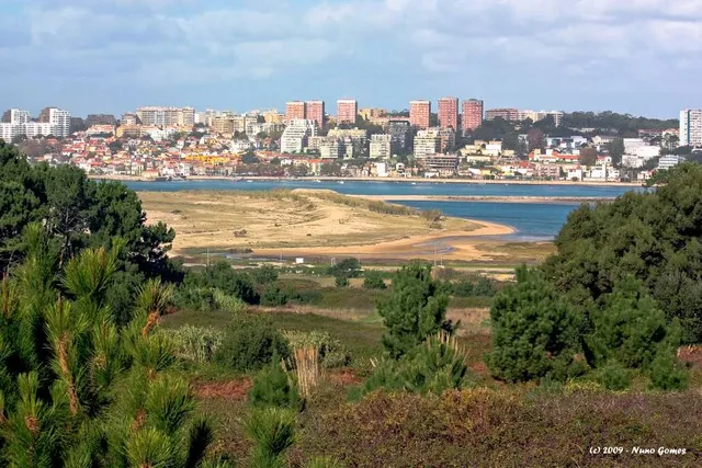 Praia Cabedelo do Douro
