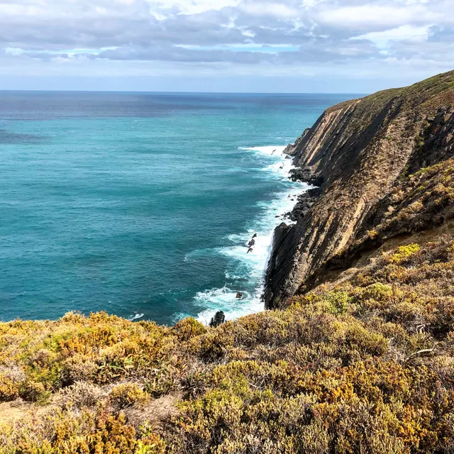 Newland Head Conservation Park