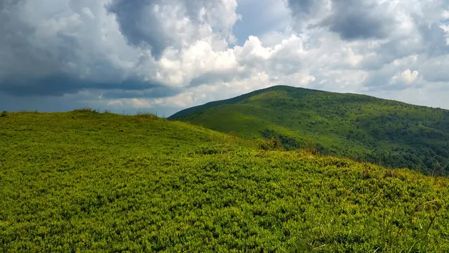 Дубриницько-Малоберезнянська сільська громада