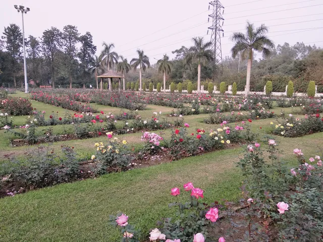 Rose Garden Faridabad