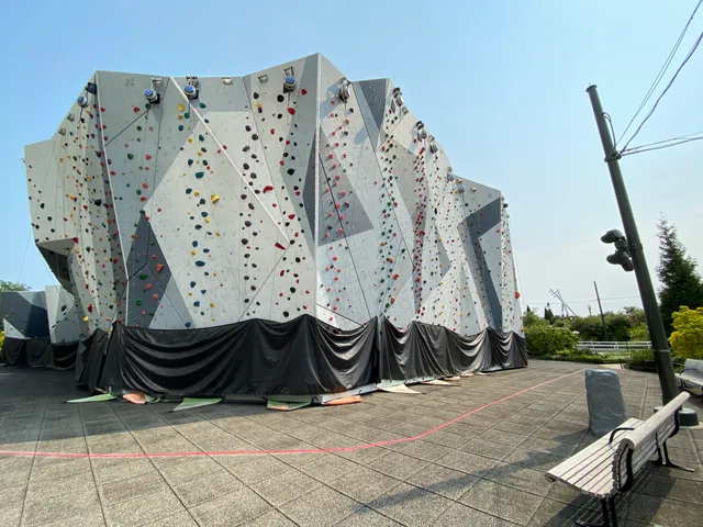 Maggie Daley Park Climbing Wall