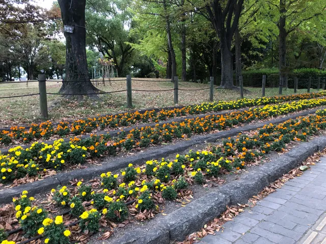 Kamisakabe West Park (Amagasaki City Botanical Garden)