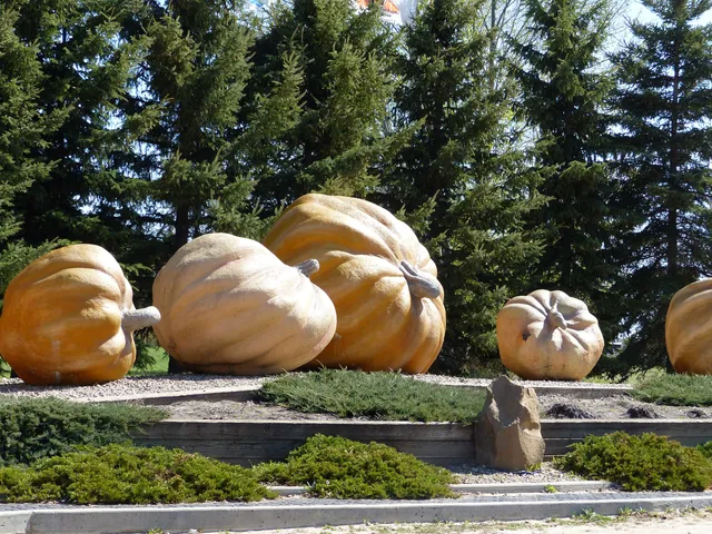 Pumpkin Park