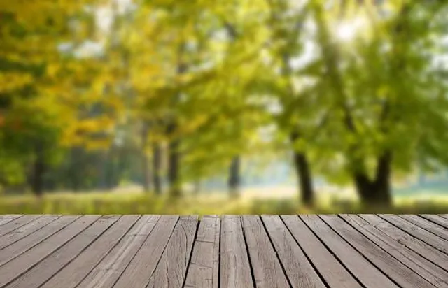 Domaine de Vendresse