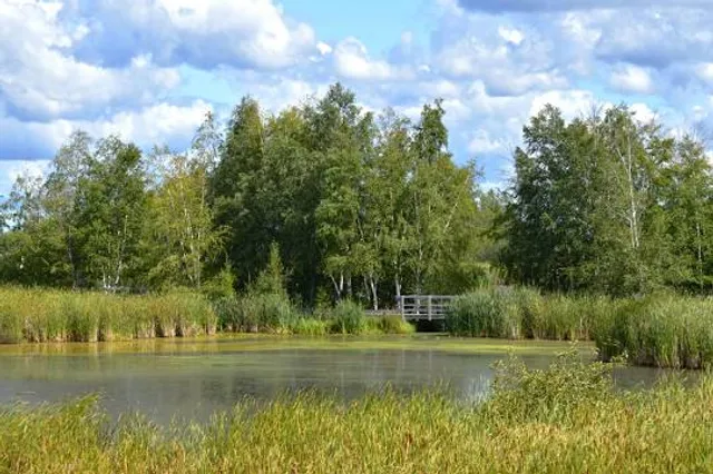 place image