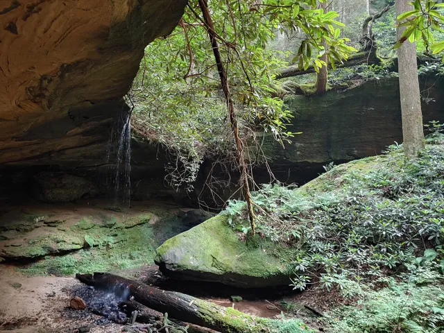 Swift Camp Creek Trail - Red River Gorge