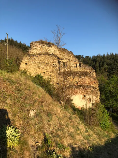 Ruine Schonenburg