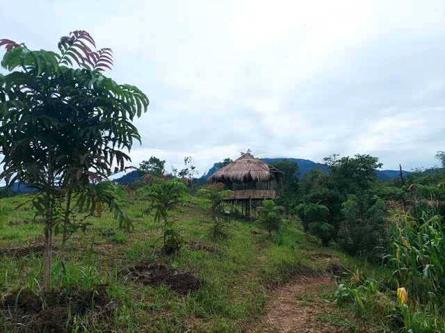 EKOWISATA SUNGKAI GREEN PARK