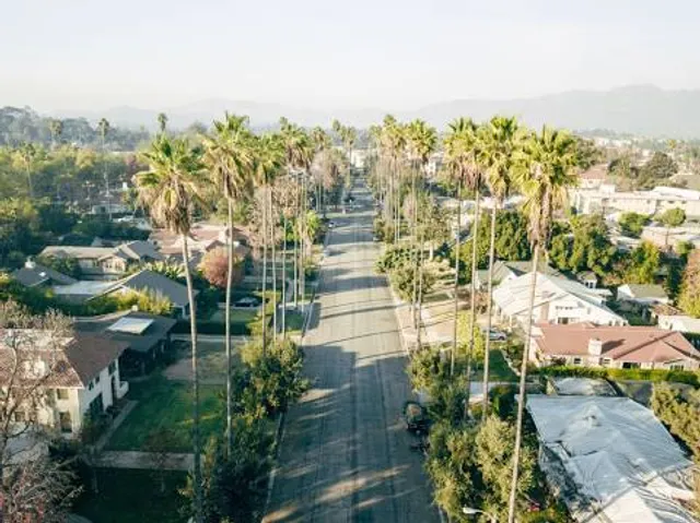 THE PALM TREE LINED STREET WITH A VIEW OF THE HOLLYWOOD SIGN