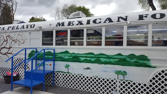 Taqueria Pelayo Mexican Food