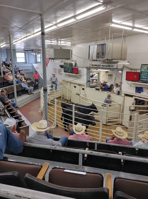 Sulphur Springs Livestock Auctions