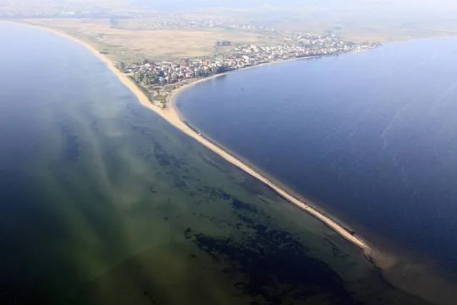 Rezerwat Torfowe Kłyle