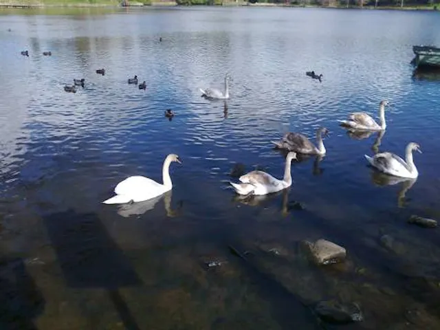Castle of Monceau-sur-Sambre