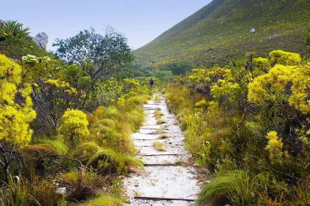 Fernkloof Nature Reserve