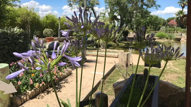 L'Aventure Mini Golf