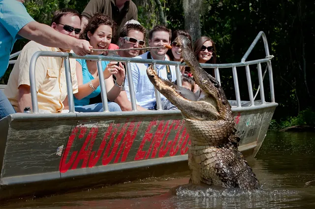 Cajun Encounters Tour Company