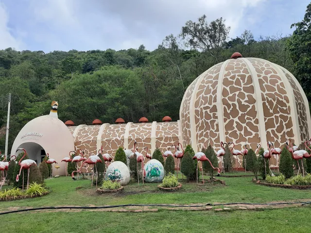 Bird Egg Museum