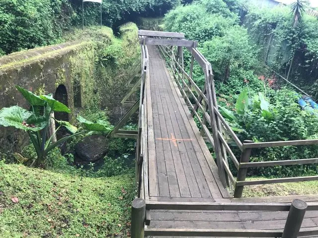 Ambiental Río Loro Park