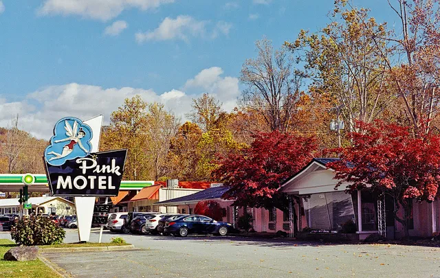 Pink Motel