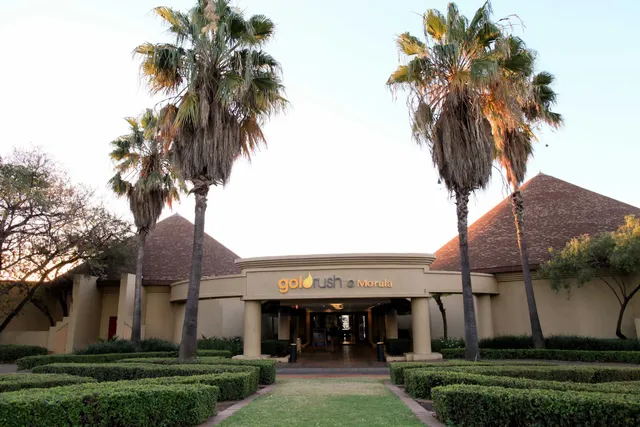 Goldrush Bingo Morula