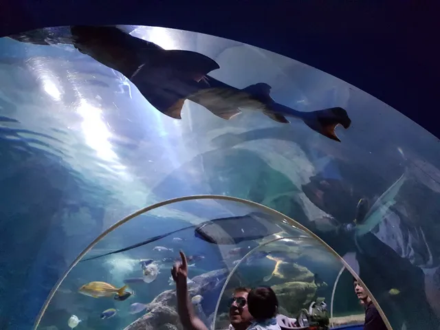 Blue Reef Aquarium Newquay