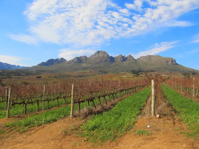 Vinehopper Wine Tours