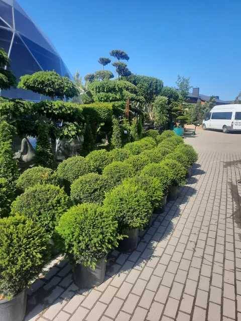 Garliava nursery-garden