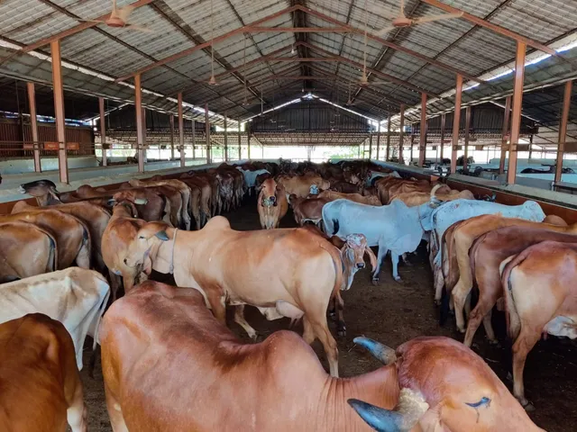 ISKCON, Nilachal Vedic Village