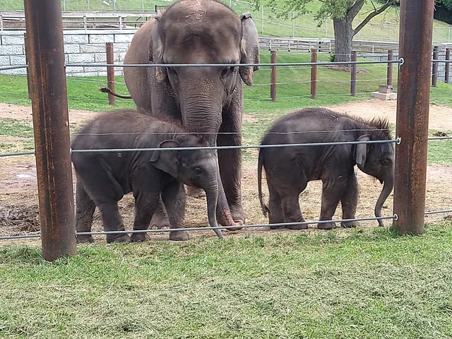 Helga Beck Asian Elephant Preserve
