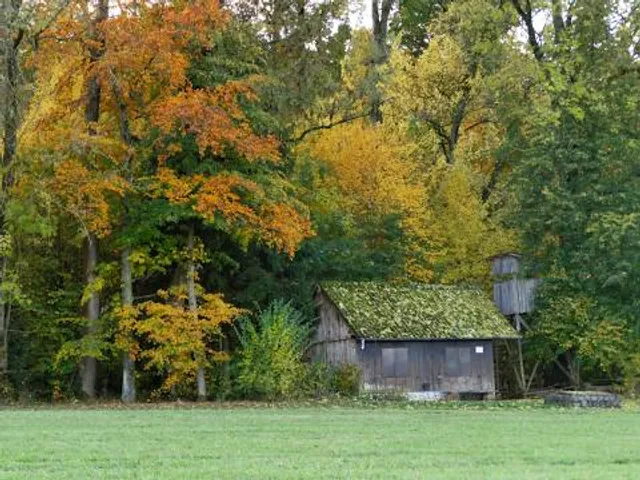 Paunküla mägede matkarajad