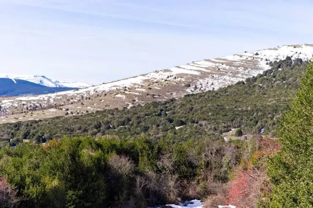 Arévalo de la Sierra