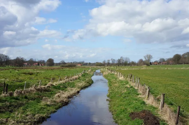 Dünsener Bach (Heidbäke)