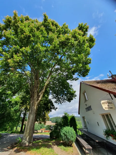 Zámek Kamenná Lhota