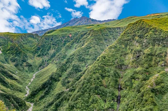 Hokodate view terrace