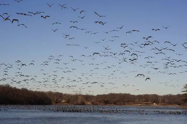 Wyandotte County Lake