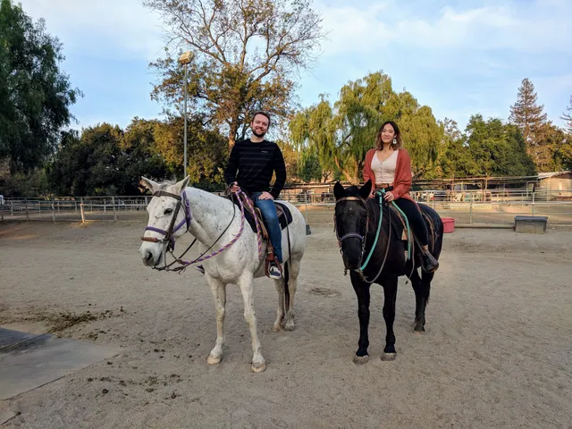 Country Trails & Riding School