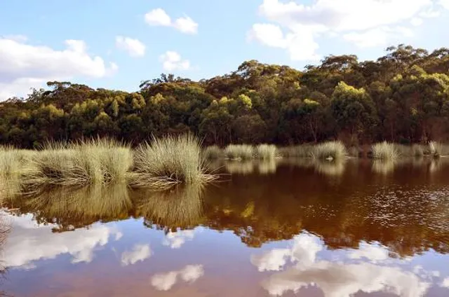 Thirlmere Lakes National Park