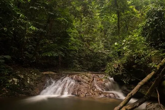 Gunung Berembun Trailhead