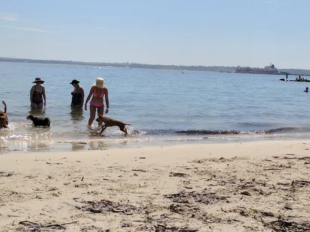 Kurnell Dog Beach