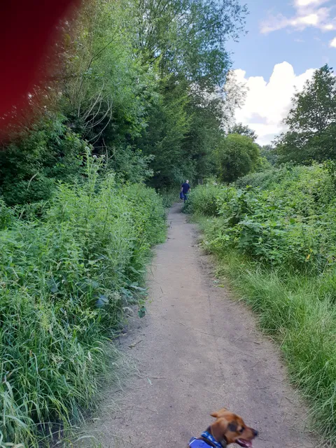Berrylands Nature Reserve