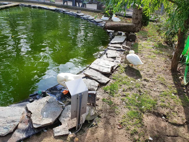Bird Park Waghäusel